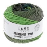 Lang Yarns Merino 120 Dégradé (02) Groen bij de Breiboerderij