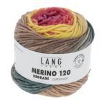 Lang Yarns Merino 120 Dégradé (07) Regenboog bij de Breiboerderij