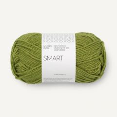 Sandnes Garn Smart Superwash (9564) Matcha