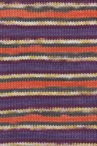Lang Yarns Merino 120 Color (190) Stripe Paars bij de Breiboerderij