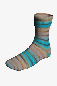 Lang Yarns Super Soxx Color 4 ply (548) leverbaar half jan)                            