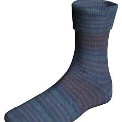 Lang Yarns Super SOXX Color 6 ply TrainSoxx 910.0492 IncaRail                    
                            