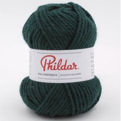 Phildar Partner 6 Cedre bij de Breiboerderij                            