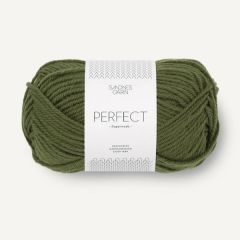 Sandnes Garn Perfect Superwash (9573) Mos Groen bij de Breiboerderij                            