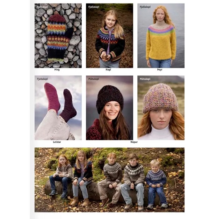 Lopi IJslands patroonboek 45 Autumn - Afbeelding 2