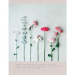Bloemen Haken - Sascha Blase
