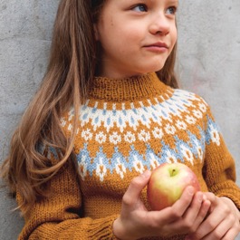 Gratis breipatroon Nord Sweater Sandnes Garn Smart