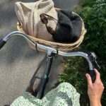 Patroon PetiteKnit - Breeze Bag