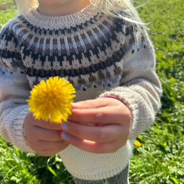 Patroon PetiteKnit - CELESTE Sweater JUNIOR - papieruitgave En/NL - Afbeelding 3