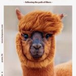 Punto 76 Lang Yarns - Alpaca Trails - following the path of fibers - met 13 patronen