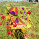Scheepjes CAL 2025 - Universe in Bloom - Bouquet - Colour Crafter