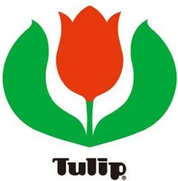 Tulip