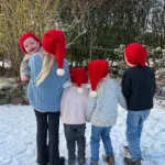 Patroon PetiteKnit - CHRISTMAS Hat