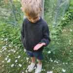 Patroon PetiteKnit - HANSTHOLM Sweater Junior
