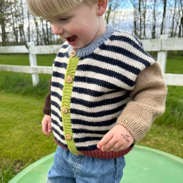 Patroon PetiteKnit - HOLGER Cardigan