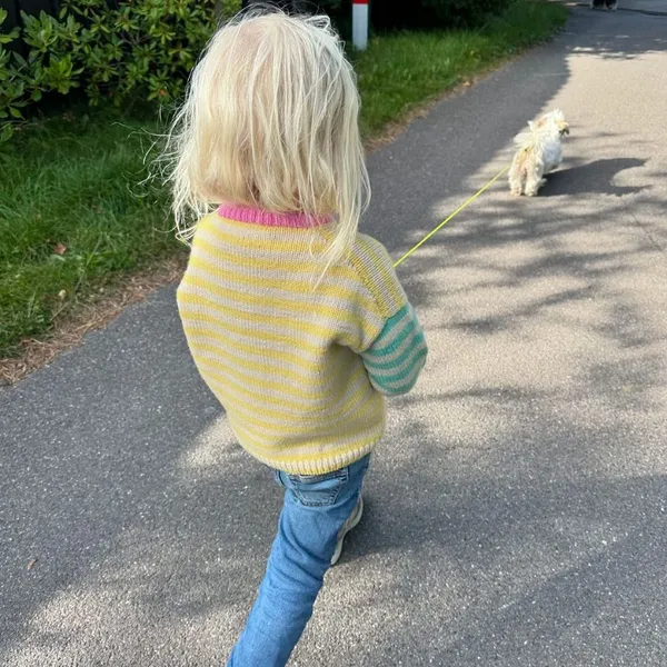 Patroon PetiteKnit - HOLGER Sweater - Afbeelding 3