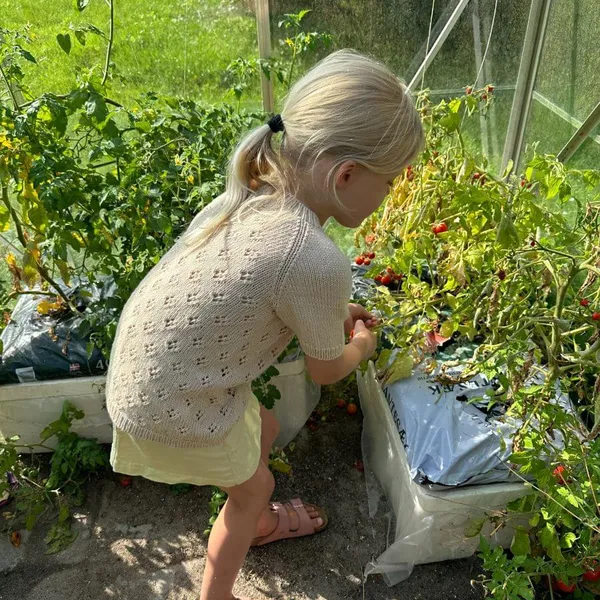 Patroon PetiteKnit - RIGMOR'S Summer Blouse - Afbeelding 2