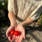 Patroon PetiteKnit - RIGMOR'S Summer Blouse