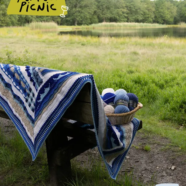 pp cal picnic by the seaside